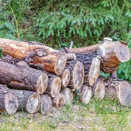 Lovely In With Wifi *