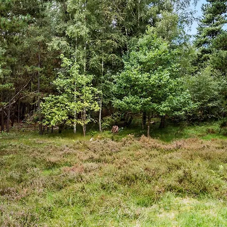 Дом отдыха Lovely In With Wifi Vig